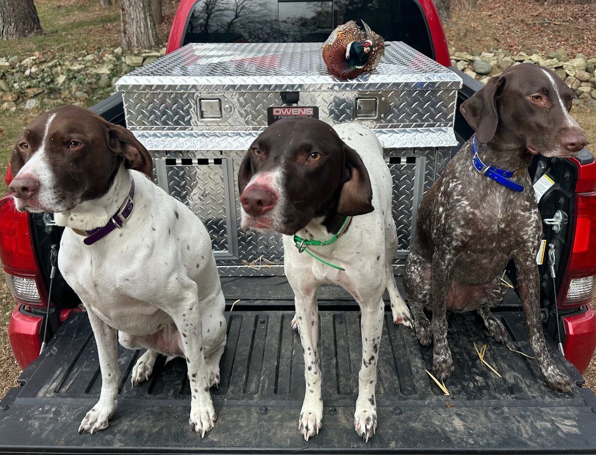 Hunter Series - K9 Dog Boxes