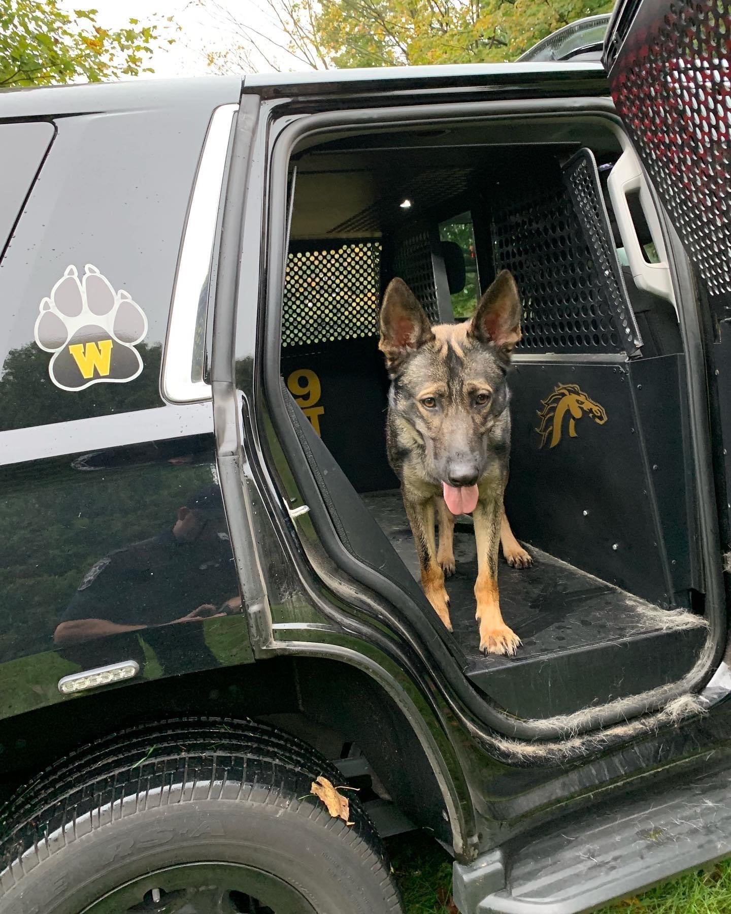 Military & Law Enforcement