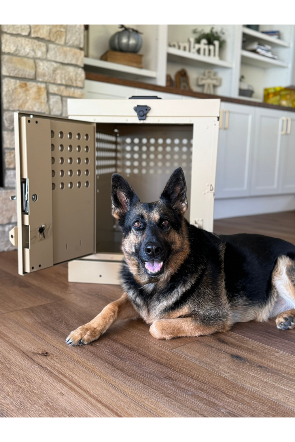 Dog Crate 55314 Professional K9 Series Large Collapsible Working Dog Crate / Single Compartment / 22.25 W x 34 D x 29 H / Mill Finish Aluminum / Tan / Owens Products - K9 Dog Boxes