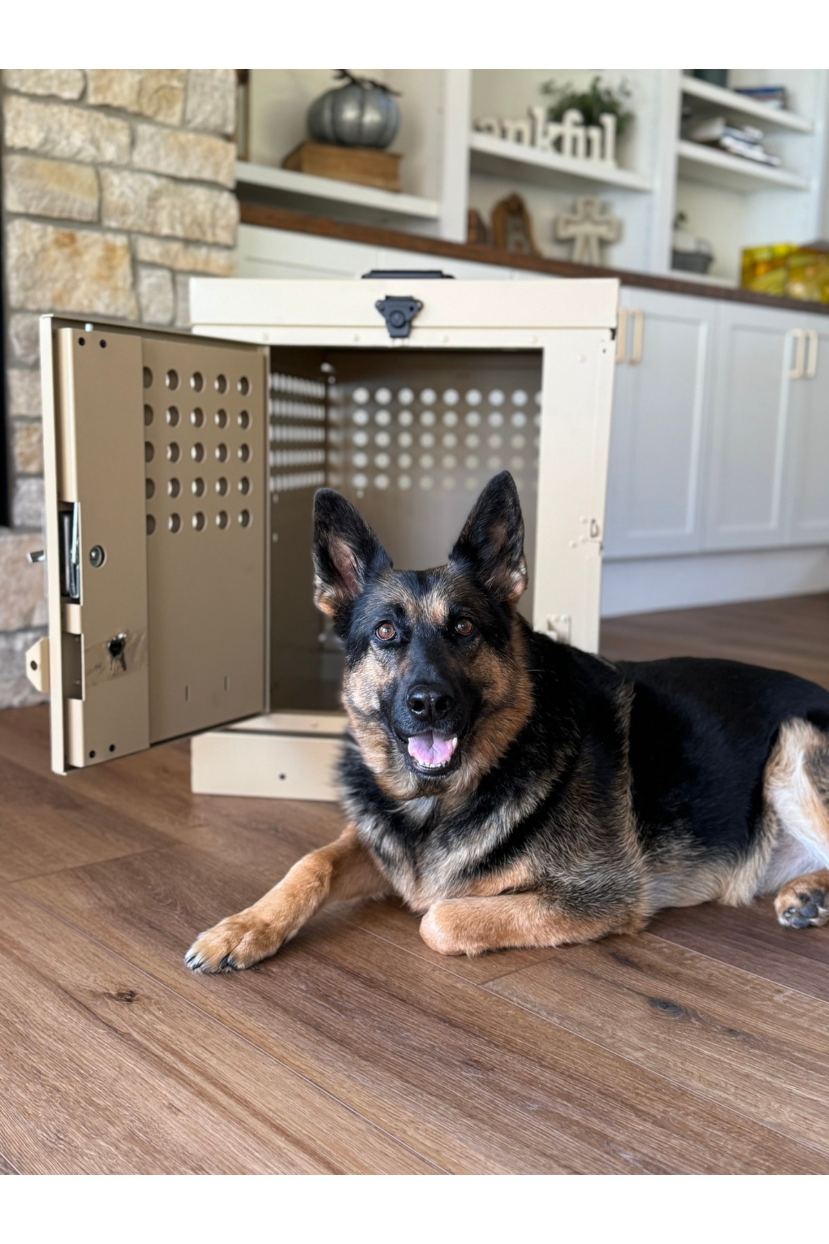 Dog Crate 55314 Professional K9 Series Large Collapsible Working Dog Crate / Single Compartment / 22.25 W x 34 D x 29 H / Mill Finish Aluminum / Tan / Owens Products - K9 Dog Boxes